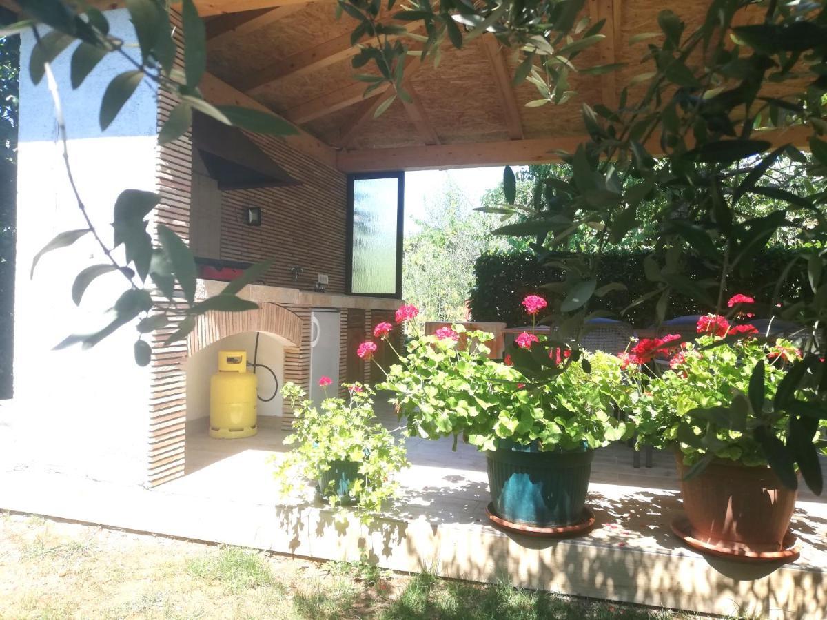 Apartments Mirela Poreč Extérieur photo
