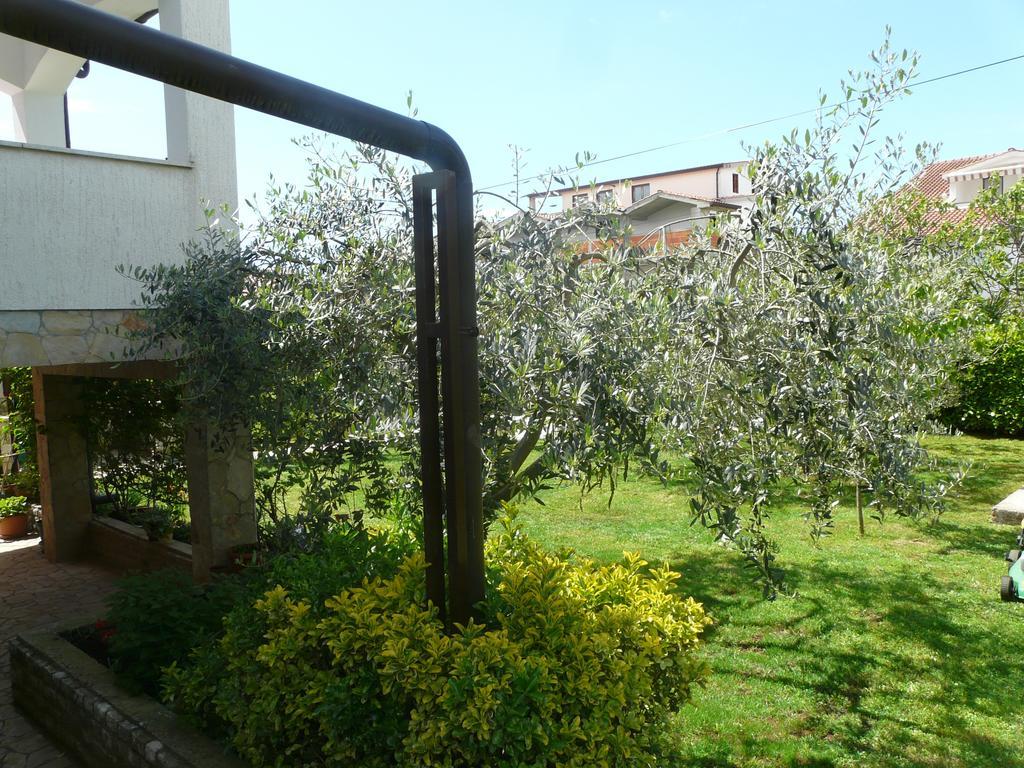 Apartments Mirela Poreč Extérieur photo